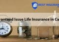 Guaranteed Issue Life Insurance Bestio insurance
